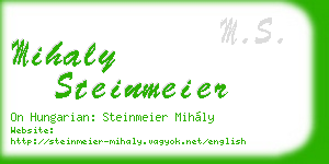 mihaly steinmeier business card